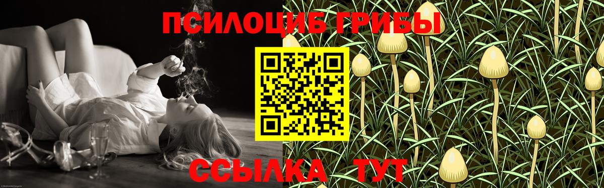 Галлюциногенные грибы прущие грибы  Галлюциногенные грибы мицелий  купить  цена  Вход с VPN  Городец 