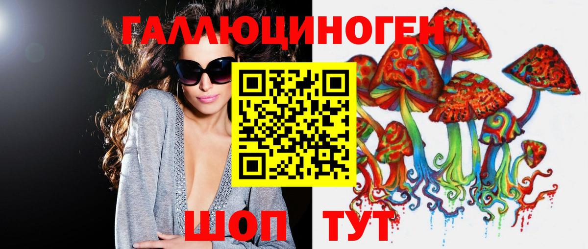 Псилоцибиновые грибы Psilocybine cubensis Городец